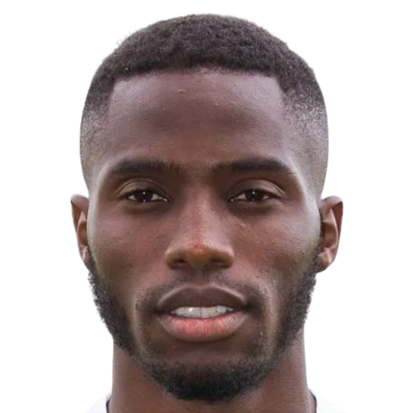 M. Diallo