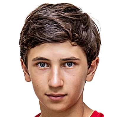 P. Aleqyan
