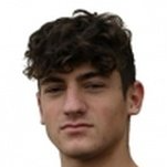 F. Raffaelli