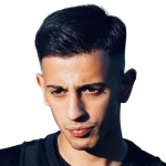 Emir Arslan