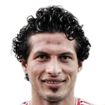 T. Hamed