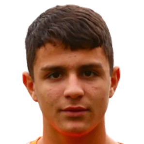 Player: D. Harutyunyan