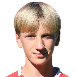 J. Nielsen