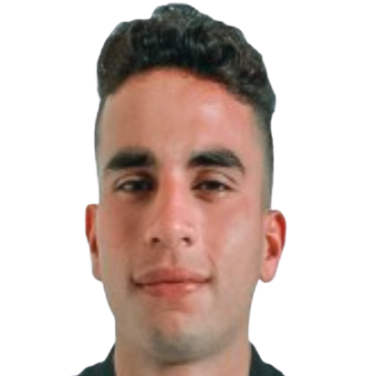 M. Hamdy