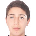 Berdan Aran