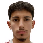 Emir Salgın