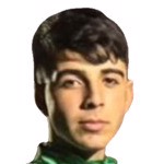 Player: Osman Taha Özdemir