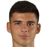 N. Vasiljevic