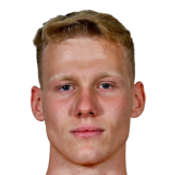 N. Čebulj