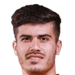 P. Rafiei