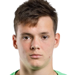 D. Fesyuk