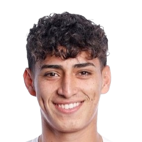 D. Fernandez