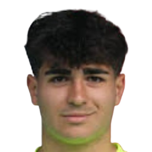 Tyler Doğan