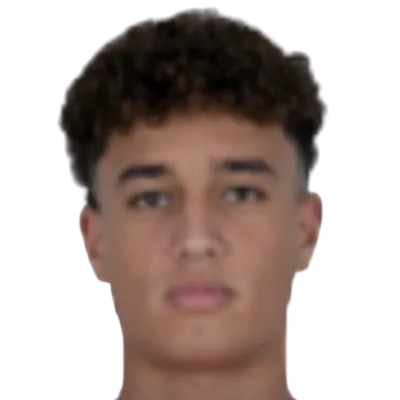 H. El Degawy