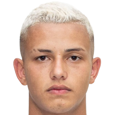 K. Ferrari 