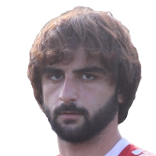 S. Gegiadze