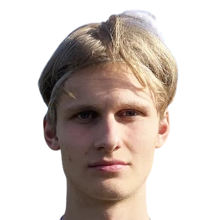 Player: E. Hedström