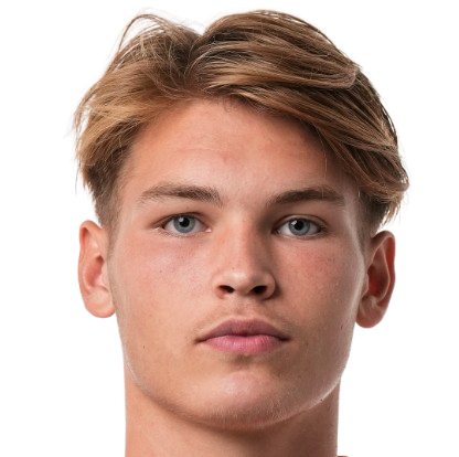 Player: J. van den Berg