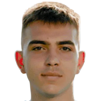 A. Predică