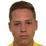 Player: D. Hryshkevych