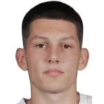 N. Tasić