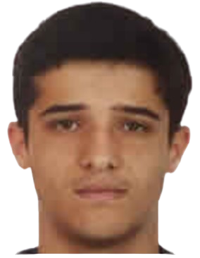 Mehmet Efe Bodur