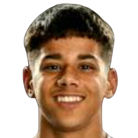 M. Ferreira