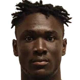 N. Houssou