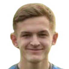 A. Dudik
