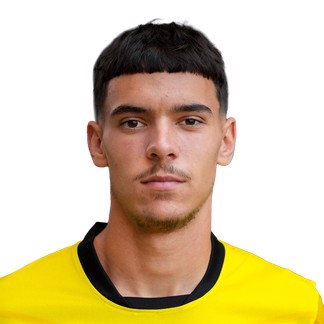 S. Raicevic