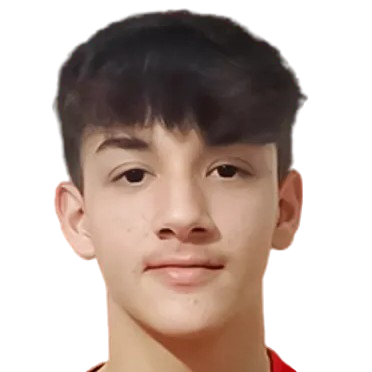 Y. Yumak