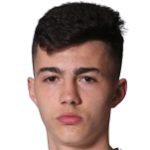 N. Mituljikic