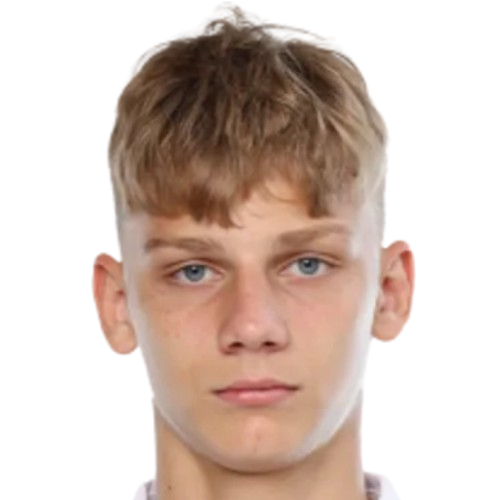 V. Pospelov