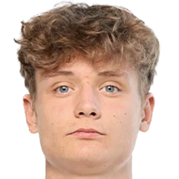 D. Nikitin