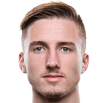 J. Fortelný