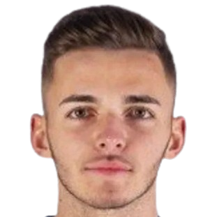 D. Alijagic