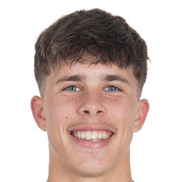 B. Biro