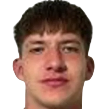 M. Vaca