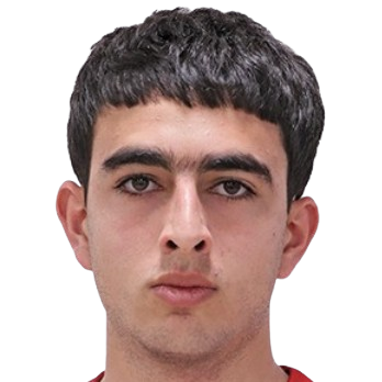 A. Gareginyan