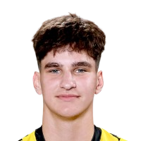 M. Dziun