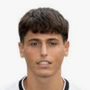 F. Bertaccini