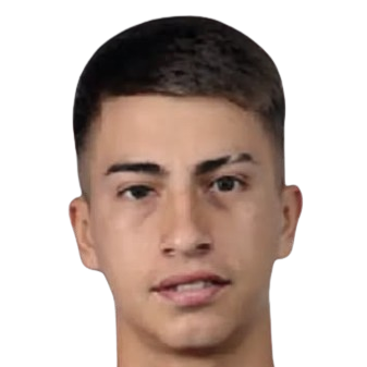 Player: P. Altamirano