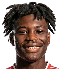 D. Ngonzo