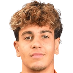 N. Vidal-Cartoux