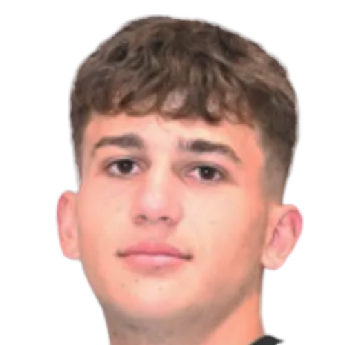 M. Papadopoulos
