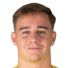 J. Pisek