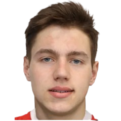 V. Mulyk