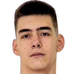 Nikola Dzepina