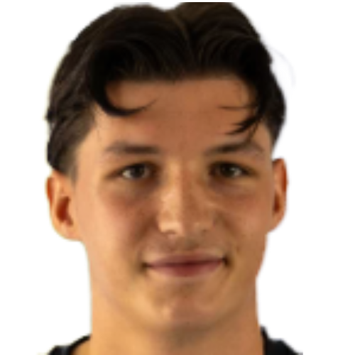 K. Sanden