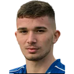 N. Domjanic